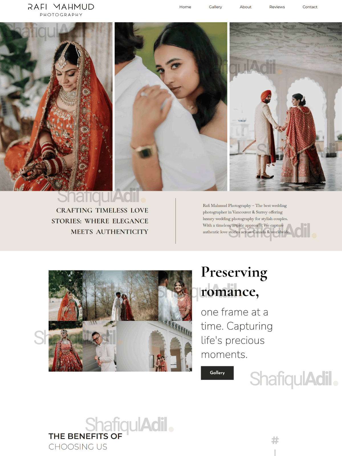 shafiquladil portfolio Rafi mahmud 01