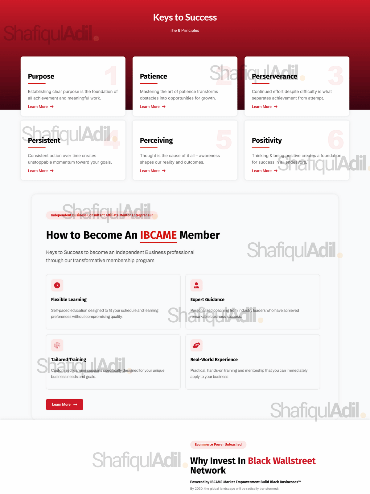 shafiquladil portfolio ibcame 02